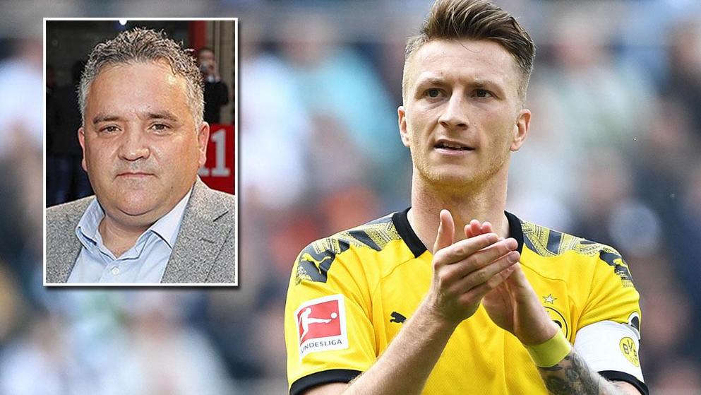 海牛的顽强 海牛的顽强