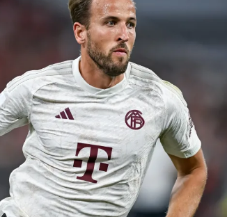 随后私聊引 随后私聊引