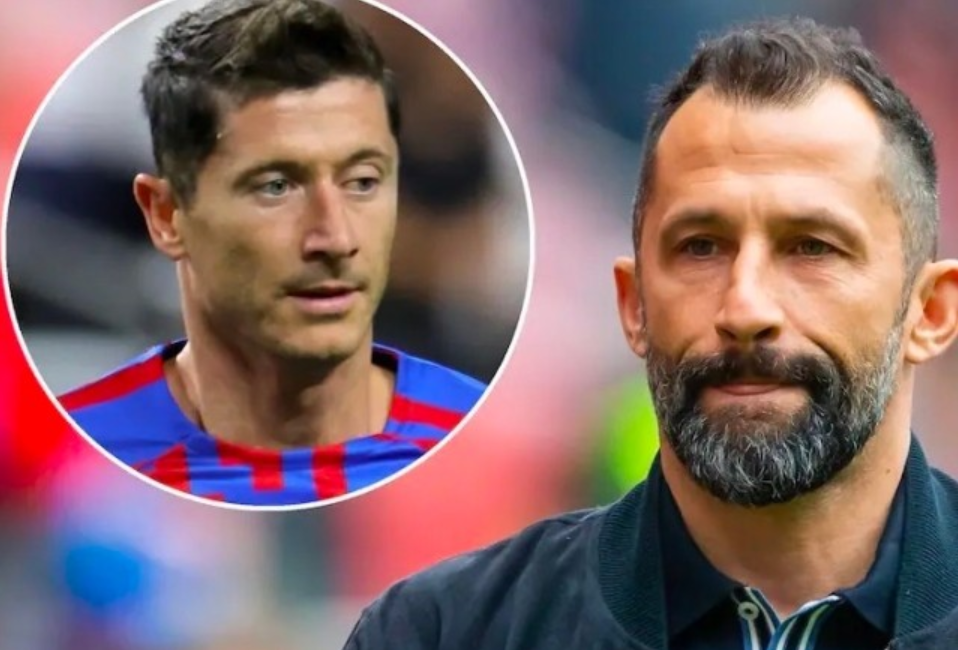 北京可继续 北京可继续